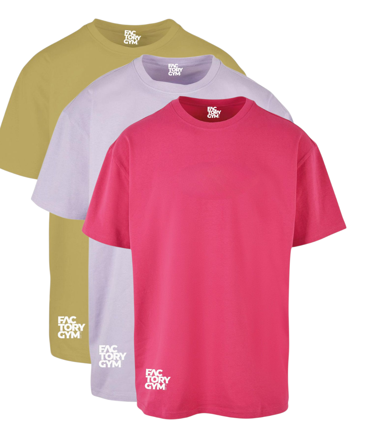 FG02 - Factory Gym - Women's Oversided Gym T-shirt - Lioness