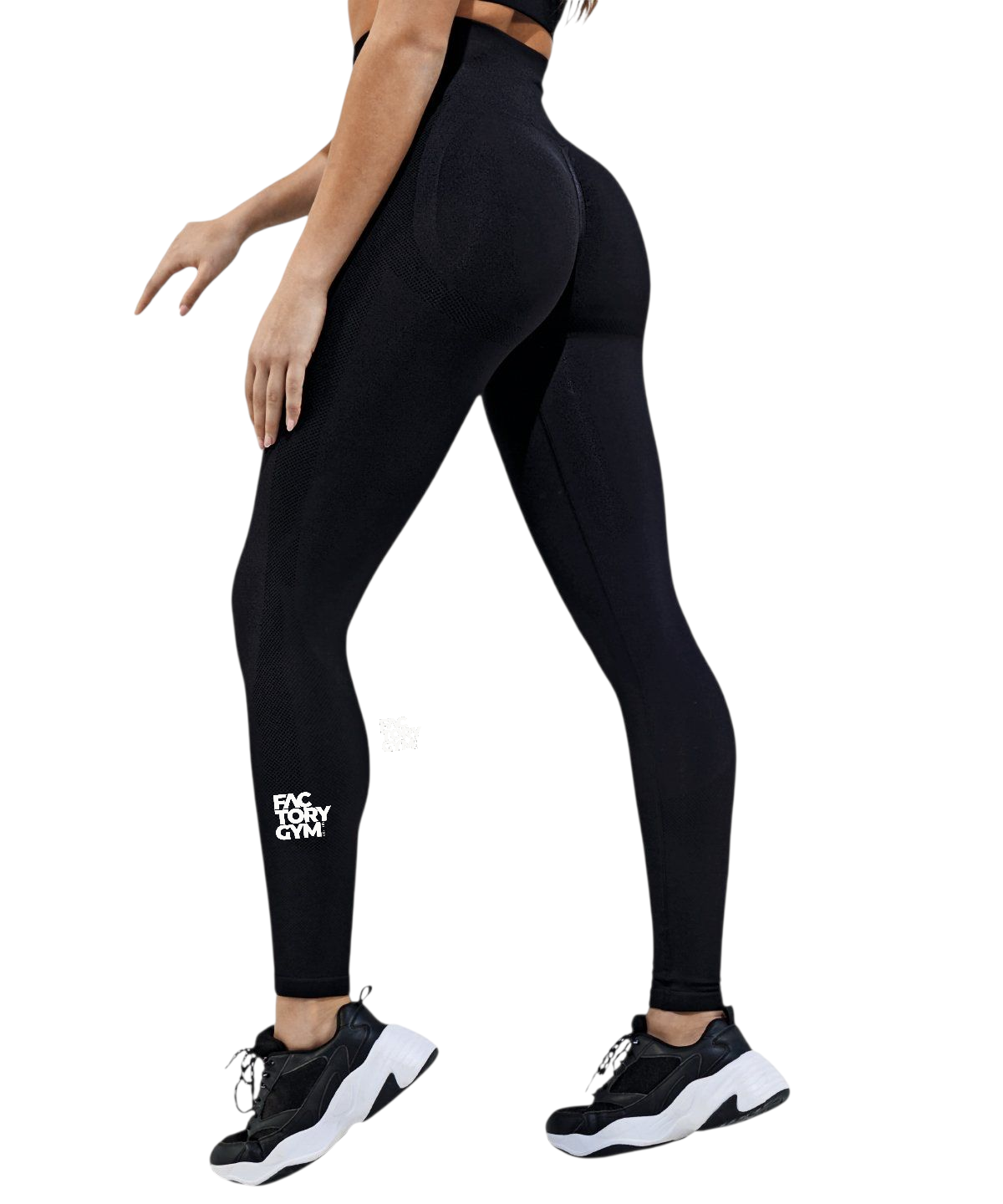 FC01 - Factory Gym Women's Fitness Scrunch leggings - Lioness