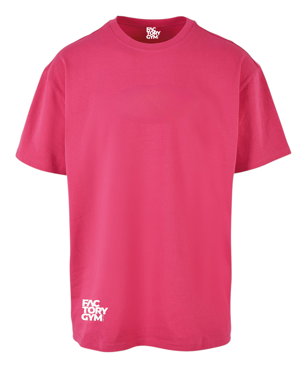 FG02 - Factory Gym - Women's Oversided Gym T-shirt - Lioness