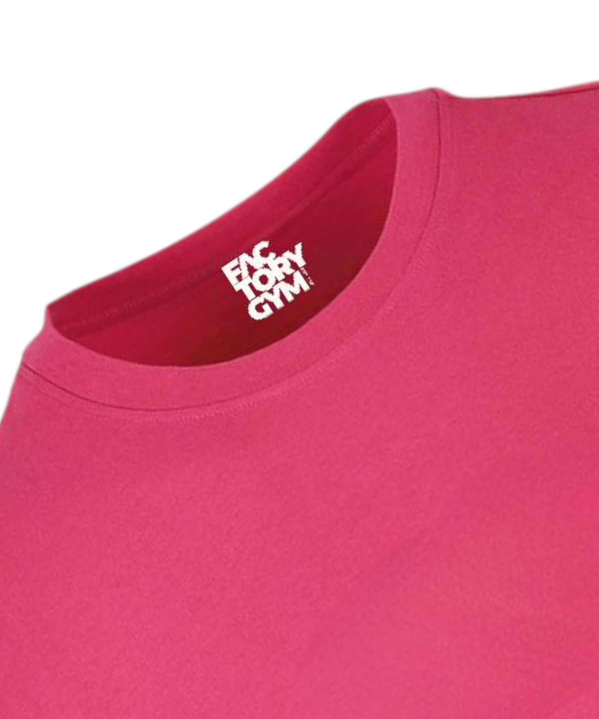 FG02 - Factory Gym - Women's Oversided Gym T-shirt - Lioness