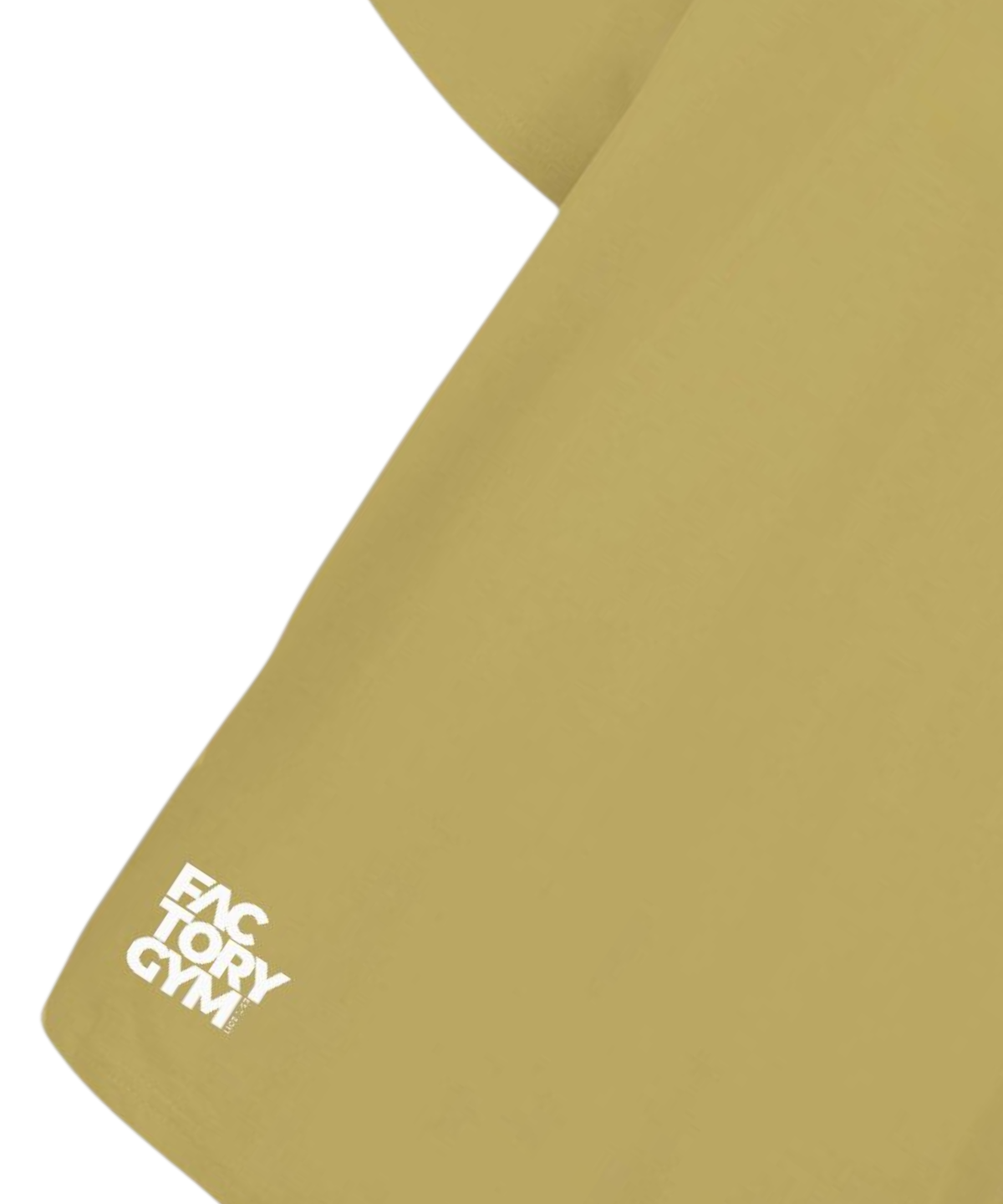 FG02 - Factory Gym - Women's Oversided Gym T-shirt - Lioness