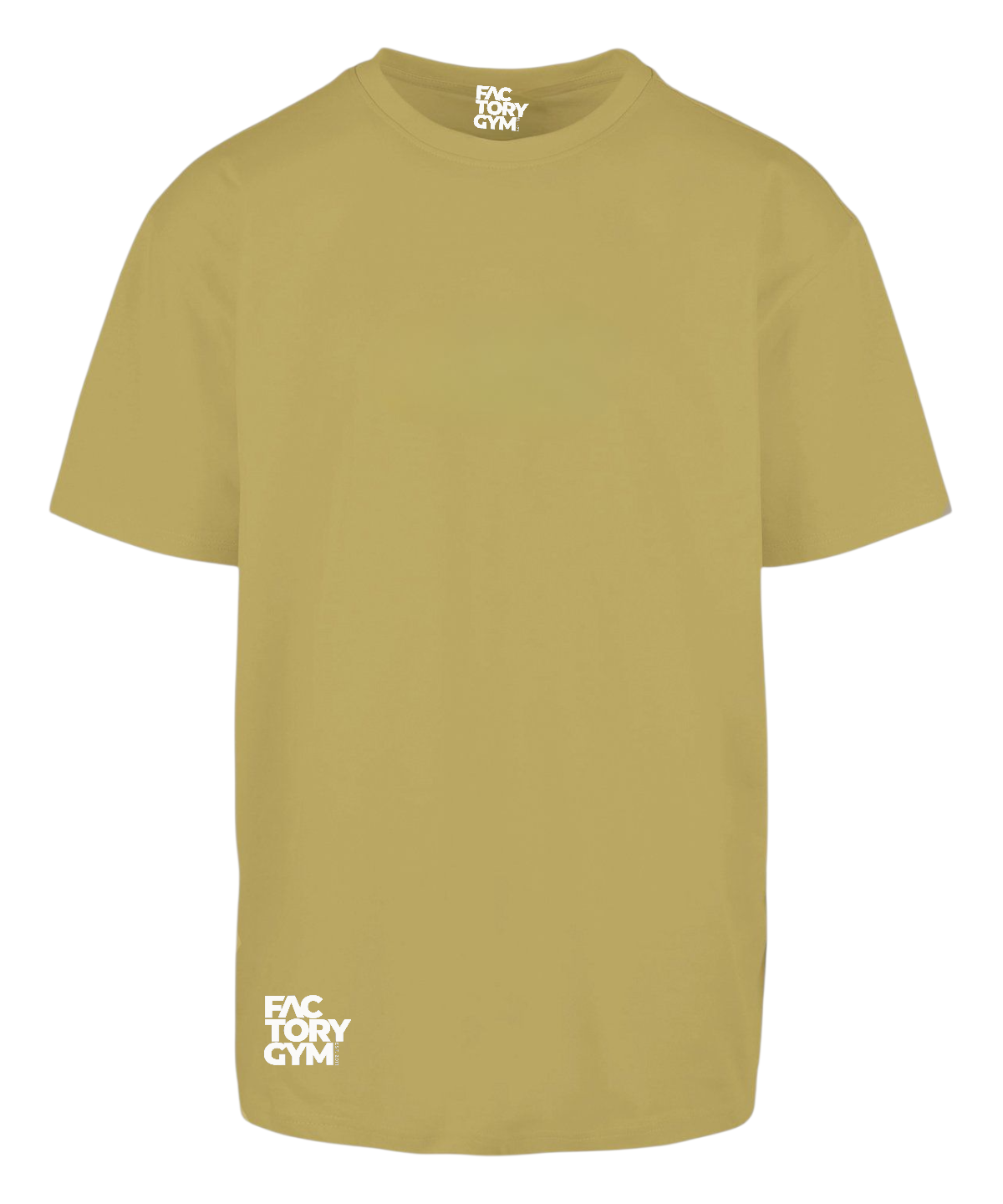 FG02 - Factory Gym - Women's Oversided Gym T-shirt - Lioness